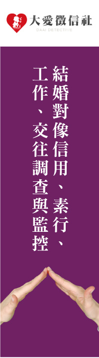 反針孔偵測器左圖